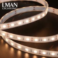 Éclairage de décoration intérieur/extérieur, pliable, étanche IP65, DC 12V 24V, 60 LED/m, bande LED SMD 5050