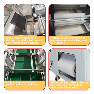 Sistema de Control PLC para Máquina de Empaquetado de Bolsas, de Bajo Perfil y Casi Universal, Apto para Diversos Materiales - Product Image 2