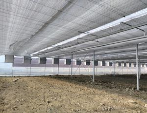 <span class=keywords><strong>Manta</strong></span> térmica plateada blanca de tamaño personalizado para clima frío, edredón aislante para invernadero, mantas térmicas para frutas y verduras - Product Image 2