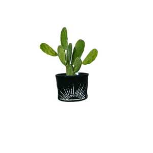 Pot de fleurs décoratif d'intérieur pour salon, support de verdure élégant noir pour table de bureau - Product Image 1