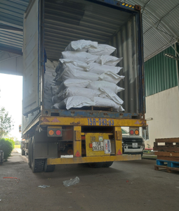 Tinimex - Jengibre en Polvo Seco Silvestre de Alta Calidad, Malla 40/60/80, Empaque de 25-30 kg en Bolsa de PP o Bolsa de Papel Kraft, Personalizable - Product Image 2