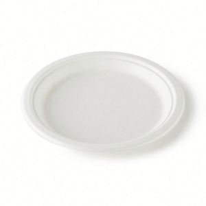 Assiette jetable biodégradable et compostable en bagasse de canne à sucre à 3 compartiments de 10 pouces pour l'emballage alimentaire de fêtes et de buffets - Product Image 3