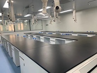 Vente directe d'usine Mobilier de laboratoire Centre Banc de laboratoire Poste de travail de laboratoire de chimie