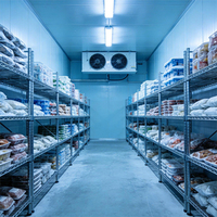 Freezer Walk-in -15 hingga -5C 100mm dengan Panel PU Terisolasi dan Pintu Anti-beku untuk Penyimpanan Pengolahan Ikan
