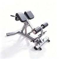 Chaise romaine d'hyperextension à 45 degrés pour usage commercial, équipement de musculation pour salle de sport, fourni directement par l'usine