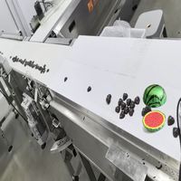 Équipement d'emballage en feuille ondulée pour chocolat de style fruit hémisphérique, scellage thermique rapide, entièrement automatique, sur mesure