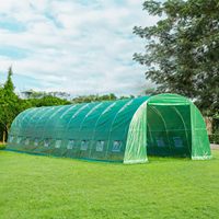 Système de culture hydroponique en aluminium à faible coût pour plantes d'hiver en tunnel haut, serre