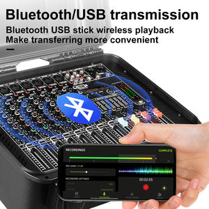 Amplificateur de puissance GT10 professionnel avec 256 effets numériques intégrés, avec étui d'aviation, 8 canaux, 550W*2 - Product Image 5