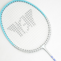 Raquettes de badminton personnalisées en aluminium + acier trempé avec joint en T, raquettes de badminton pour débutants, sports de plein air, prix bas