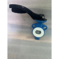 Vanne papillon à opercule entièrement doublée WCB CS DN50 CLASSE 150 avec siège en PTFE et poignée manuelle pour systèmes d'eau CVC, directement de l'usine