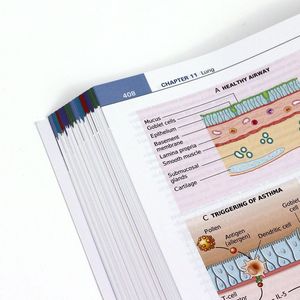 Stampa di Alta Qualità di Libri di Storie, Fumetti, Riviste e Cataloghi con Logo Personalizzato in Rilievo su Cartone e Carta - Product Image 5