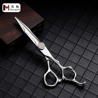 Ciseaux de coiffure portables de haute qualité Meilleur prix Ciseaux de beauté en acier inoxydable avec manche en acier à lames émoussées tranchantes