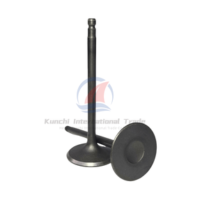 Hete Verkopende Hoge Kwaliteit Nissan Vq25 Inlaat & Uitlaat Kleppen 13202-aq800/13201-eg200/13201eg200 Vq25de Met Klepstoters - Product Image 3