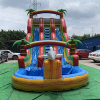 Glissière d'eau gonflable commerciale de dauphin avec des jouets gonflables extérieurs de doubles voies de piscine