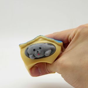 Jouets sensoriels anti-stress pour chiens, en silicone et plastique, à presser, en forme de tasse, emballage boîte, pour soulager le stress - Product Image 4