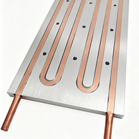 Plaque de refroidissement liquide personnalisée haute puissance 170*656*13mm, échangeur de chaleur, plaque froide en aluminium pour élément Peltier