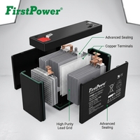 Batterie au plomb AGM 6V 9Ah pour systèmes d'alimentation sans interruption (ASI) et systèmes de sécurité, faible autodécharge et faible perte de charge en veille