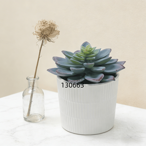 Planta Artificial <span class=keywords><strong>Echeveria</strong></span> Alta y Duradera, Ecológica, en Maceta de Cerámica con Tierra Sintética para Decoración del Hogar u Oficina - Product Image 1