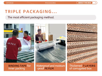 Zweisitziges Modulares Stoff-Wohnzimmersofa Vakuumverpackt Komprimierter Memory-Schaum Sektionalsofa Modernes Design für Apartments, Hotels und Villen