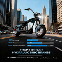 Moto électrique à suspension intégrale eAhora M1P, autonomie de plus de 40 miles, batterie 60V 30Ah, moto électrique pour adultes