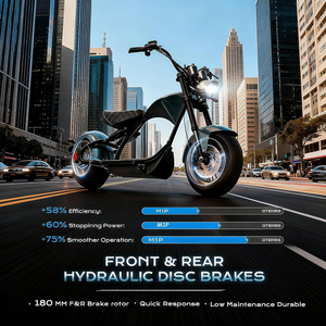 Moto électrique à suspension intégrale eAhora M1P, autonomie de plus de 40 miles, batterie 60V 30Ah, moto électrique pour adultes - Product Image 6