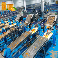 ENAK Fruitconservenlijn Automatisch Verwerkingsysteem voor Geblikte Perzik Ananas Mandarijn
