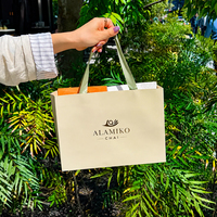 Sac en papier de luxe personnalisé et écologique avec logo estampé à chaud pour magasins de chaussures, de vêtements, sacs cadeaux et sacs d'art