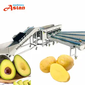 Rollen-Typ Kartoffel Avocado-Sortiermaschine Kirsch-Reibe Reinigung sortiermaschine Größen-Sortiermaschine