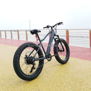 <span class=keywords><strong>Bicicleta</strong></span> eléctrica <span class=keywords><strong>Phoenix</strong></span> 500W Ebike Fat Tire Ebike hidráulica Marco de aluminio Cinturón Cadena <span class=keywords><strong>Bicicleta</strong></span> eléctrica de montaña - Product Image 3