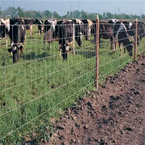 Figurine de Protection en mailles de <span class=keywords><strong>mouton</strong></span>, clôture en maille <span class=keywords><strong>à</strong></span> Joint - Product Image 1