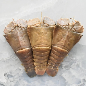 Pantoufle congelée Homard entier sauvage pêché en eau froide Crustacé congelé cru Homard à tête plate Fruits de mer Fournisseur d'exportation - Product Image 3