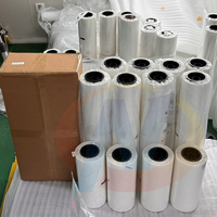 Norman Transfer panas DTF Transfer Film untuk pakaian panas/dingin kupas 13X19 A3/A4 lembar PET Film DTF Printer kompatibel