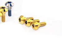 Boulon à vis personnalisé en titane Ti anodisé à tête Torx Pan CSK