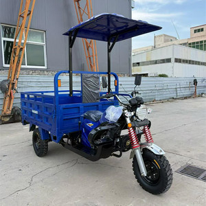 Triciclo Motorizado de 3 Ruedas de 50cc-350cc con Toldo, Triciclo de Gasolina para Transporte Agrícola Moderno - Product Image 1