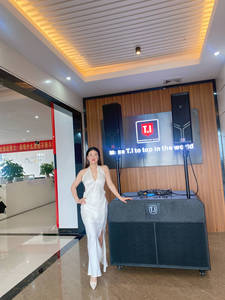 T.I <span class=keywords><strong>Pro</strong></span> 오디오 신형 휴대용 DJ 사운드 시스템 스피커 세트 실외용 앰프 포함-라인 어레이 스피커 - Product Image 4