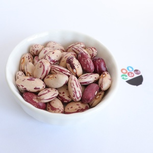 Fagioli <span class=keywords><strong>Rossi</strong></span> Maculati, Fagioli Pinto e Fagioli di Cranberry all'Ingrosso per Alimenti in Scatola - Product Image 6