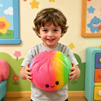 Jouet Squishy Géant Arc-en-ciel en Forme de Ravioli avec Cuiseur Vapeur 25cm, Jouet Anti-Stress à Presser pour Enfants, Vente Chaude