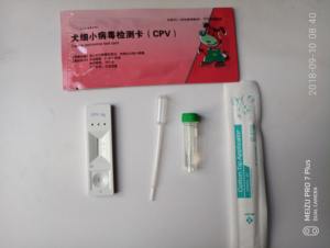 Kit <span class=keywords><strong>de</strong></span> <span class=keywords><strong>test</strong></span> CPV pour animaux <span class=keywords><strong>de</strong></span> compagnie/<span class=keywords><strong>test</strong></span> du parvovirus canin - Product Image 4