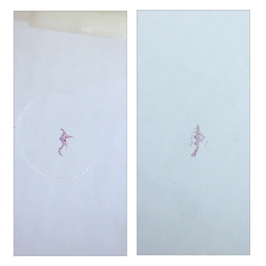 การสอนตัวอย่างที่มีโครงสร้างที่ชัดเจนรวมถึงส่วนของ * Polygonum aviculare *, antheridium และ archegonium. - Product Image 2