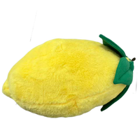 Peluches personnalisées : Créez votre propre marque de peluches pour enfants, jouets en peluche, oreillers personnalisés, cadeau d'anniversaire