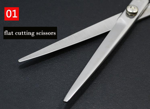 JDK Céramique Acier Inoxydable <span class=keywords><strong>Argent</strong></span> Poli <span class=keywords><strong>Ciseaux</strong></span> de <span class=keywords><strong>Coiffeur</strong></span> Coupe de Cheveux Sharp Coiffure Toilettage <span class=keywords><strong>Ciseaux</strong></span> Salon Utilisation Barbe - Product Image 3