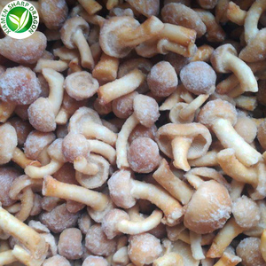 יצוא קפוא nameko פטריות עבור קונים - Product Image 6