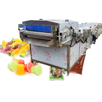 Machine de pasteurisation industrielle de haute qualité à prix abordable pour gelée, sachets, cornichons, fruits, type tunnel avec bande transporteuse