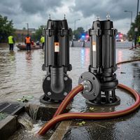 Pompe submersible à eaux usées à haut débit WQ QW pour drainage