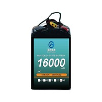 Batterie de drone MG pour opérations de lutte contre les incendies à décollage vertical et grande capacité de charge, 16000mAh 14S 10C 51.8V 800 cycles