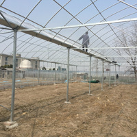 Serre en film plastique multi-travées pour tomates avec système de contrôle automatique