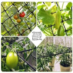 Redes de Soporte para Plantas, Red de Soporte para Ramas, <span class=keywords><strong>Malla</strong></span> Elástica de Látex para Jardín, Huerto, Cultivo de Vegetales, Invernadero - Product Image 5