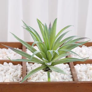 Arreglo de flores suculentas artificiales populares Plantas suculentas grandes realistas para vegetación de terrario al aire libre e interior - Product Image 4