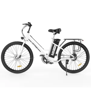 Electric Cargo Delivery Bike für Erwachsene Faltbares Ebike E-Bike 26 Zoll Ebike für Erwachsene Elektro fahrrad