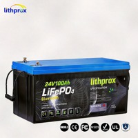 Batterie de chariot élévateur logistique 24V 100AH LiFePO4, cellule de batterie robuste pour la logistique en usine, CE RoHS FCC, service OEM ODM, IP67